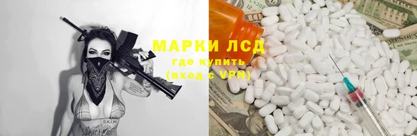 прущие грибы Баксан