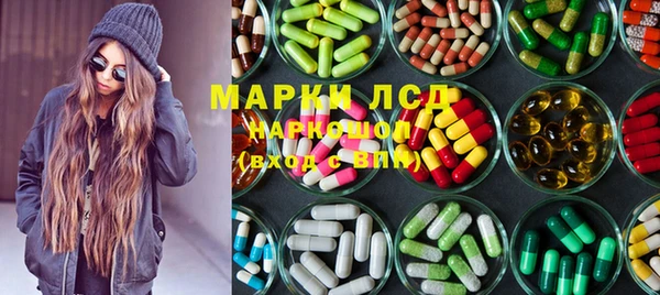 прущие грибы Баксан