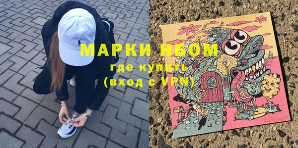 прущие грибы Баксан