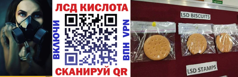 darknet какой сайт  купить  цена  Пласт  Марки N-bome 1500мкг 